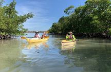Everglades National Park boat assisted kayak eco-tour