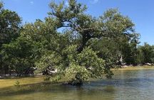 Everglades National Park boat assisted kayak eco-tour