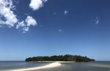 Everglades National Park dolphin, birding and wildlife boat tour
