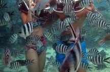 Walking under the sea in Mauritius