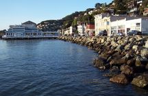 Muir Woods and Sausalito half-day tour