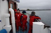 Whale watching tour in Reykjavik