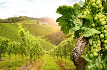 Day Tour in Burgundy with 12 Wines Tasting at Local Wineries