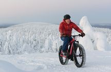 Amethyst mine tour by electric fat bike