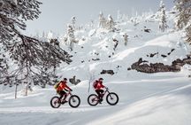 Visit Pyhä-Luosto National Park by electric fat bike
