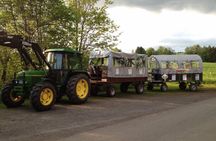 Wintertour mit dem Planwagen