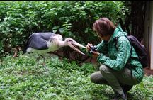 Makoa Farm Wildlife Rehabilitation Centre tour from Kilimanjaro