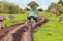 Arusha National Park day tour by the Kilimanjaro