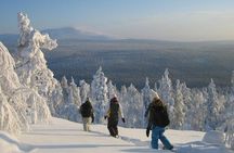 Highlights of Rovaniemi full-day tour B