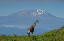 Arusha National Park day tour by the Kilimanjaro