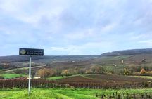 Day-trip in Champagne including Moët & Chandon, Hautvillers and family winery
