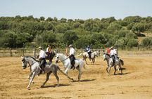 El Carrascal Country Estate