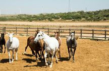 El Carrascal Country Estate