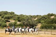 El Carrascal Country Estate