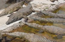 Dar es Salaam Zoo day-tour