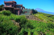 Bodegas Monje – Visit and Winetasting