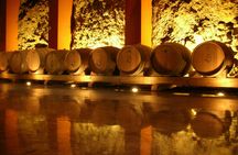 Bodegas Monje – Visit and Winetasting