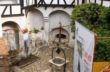 Private day trip to Dracula’s Castle