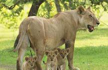 Selous Game Reserve 3-day superior safari