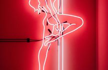 Amsterdam sex club secrets with Tour de BonTon