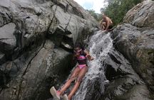 El Yunque Rainforest adventure with transportation