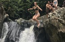 El Yunque Rainforest adventure with transportation