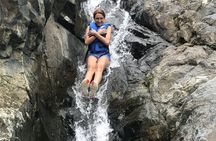 El Yunque Rainforest adventure with transportation