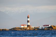 Victoria Winter Whale Watching on a Zodiac Vessel
