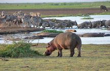 Canoeing at Lake Manyara National Park from Arusha