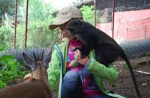 Makoa Farm Wildlife Rehabilitation Centre tour from Kilimanjaro