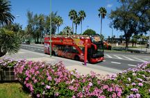 Hop-On Hop-Off Las Palmas de Gran Canaria 24hr Bus