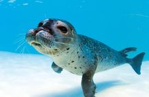 Marineland