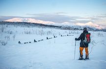Guided snowshoe hike