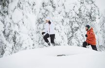 Snowshoeing tour in Pyhä-Luosto National Park