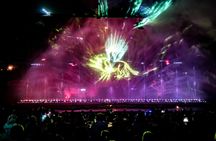 Magic Dancing Waters Ticket