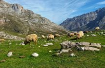 Picos de Europa guided walking tour and spa circuit in La Hermida