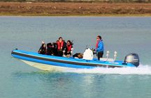 Ria Formosa speed boat tour from Faro