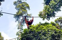Makoa Farm Wildlife Rehabilitation Centre from Arusha