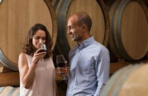 Half-day wine country experience from San Francisco