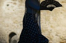 Alhambra guided tour with flamenco show and dinner