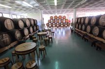 Madeira nature & wine tasting experience in open roof 4x4 tour