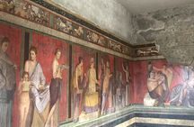 Pompeii guided tour with a local archeologist