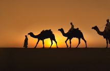 Champagne private desert safari at Bassata Camp from Ras Al Khaimah