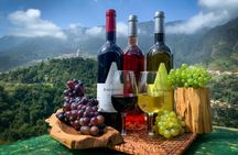 Madeira wine tasting and dolphin watching tour