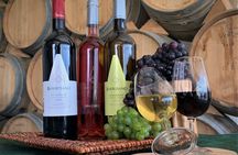 Madeira wine tasting and dolphin watching tour