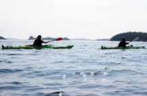 Enjoy Stockholm Archipelago by kayak