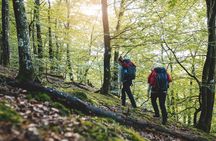 Meet the wildlife of Sweden in a safari tour