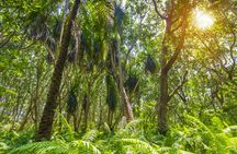 Zanzibar Jozani Forest and Prison Island private tour