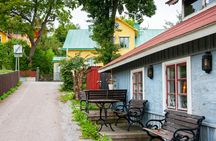 Swedish history's coolest places full-day tour