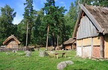 Viking era private excursion
